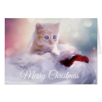 Merry Christmas &amp; Happy New Year Kitten Card