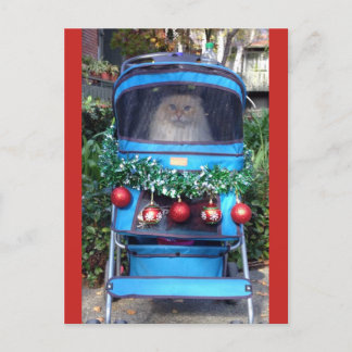 Merry Christmas & Happy New Year Postcard