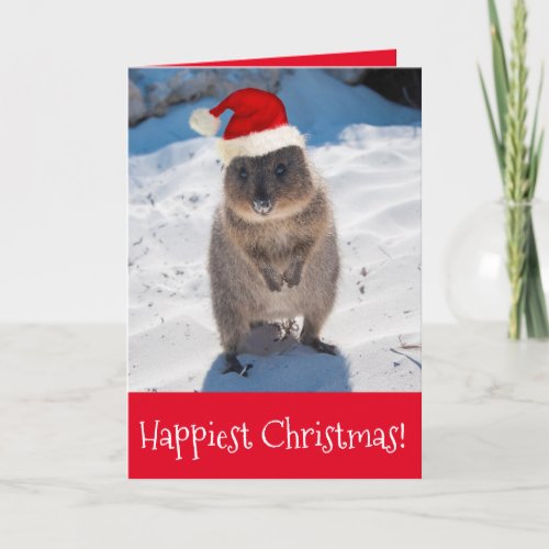 Merry Christmas  Happy New Year Quokka Beach Red Card
