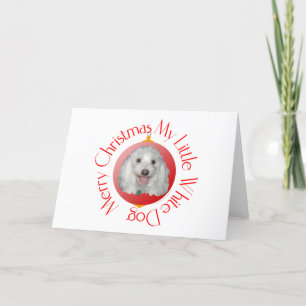 Merry Christmas Havanese Holiday Card
