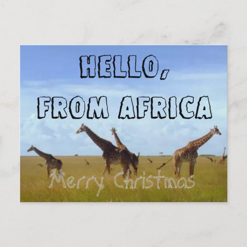 Merry Christmas Hello From Africa Hakuna Matata Holiday Postcard