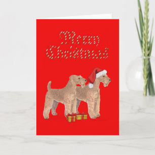 Merry Christmas Holiday Card