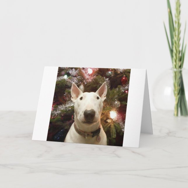 merry christmas holiday card (Front)