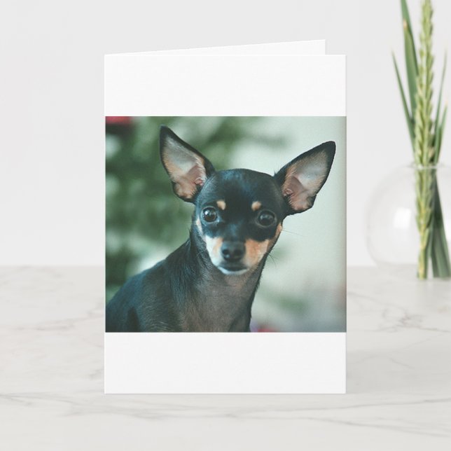 Merry Christmas Holiday Card (Front)