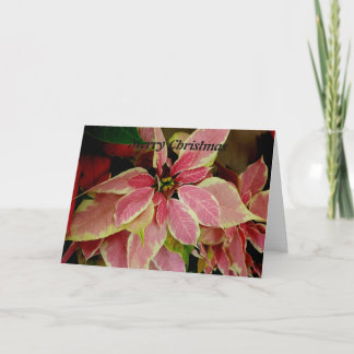 Merry Christmas Holiday Card
