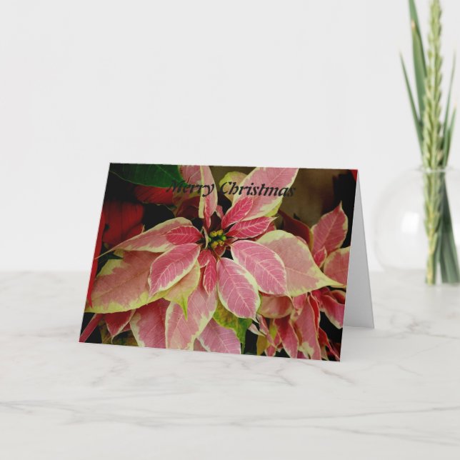 Merry Christmas Holiday Card (Front)