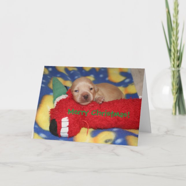 Merry Christmas! Holiday Card (Front)