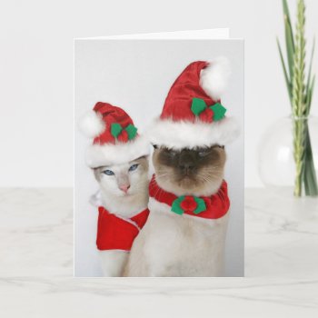 Merry Christmas! Holiday Card by knichols1109 at Zazzle
