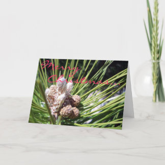 Merry Christmas... Holiday Card