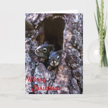 Merry Christmas Holiday Card by Artnmore at Zazzle