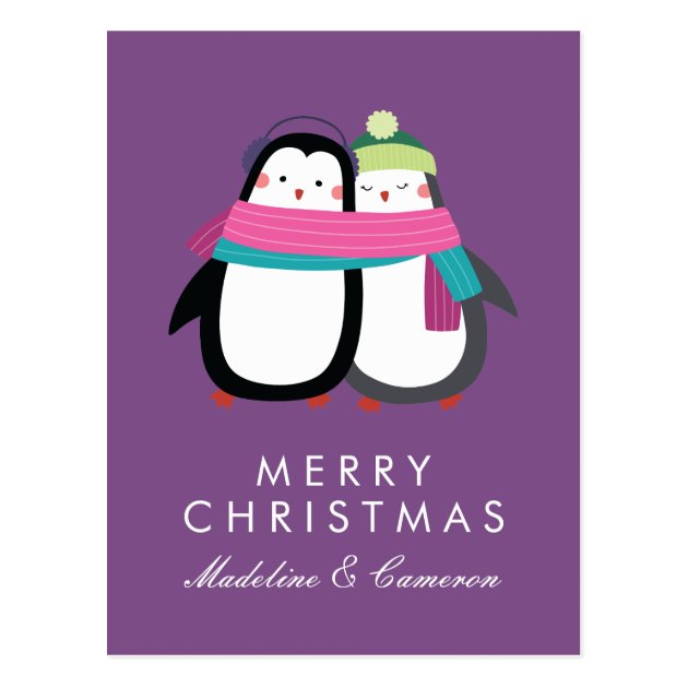 Merry Christmas | Holiday Penguins Postcard