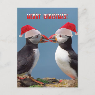 Merry Christmas Holiday Postcard