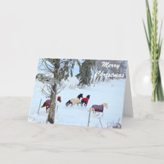Merry Christmas Horse Cards