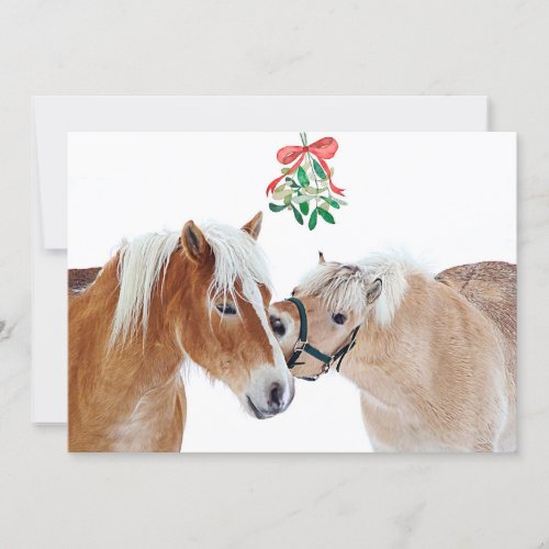 Merry Christmas Horse Mistletoe Equine Cute Ponies Holiday Card