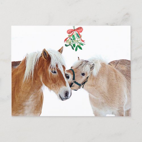 Merry Christmas Horse Mistletoe Equine Cute Ponies Holiday Postcard