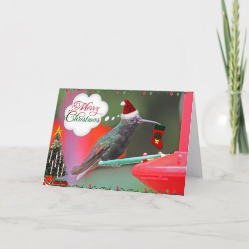 Merry Christmas Hummingbird Holiday Card