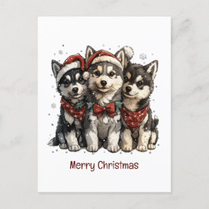 Merry Christmas Husky Dogs Postcard