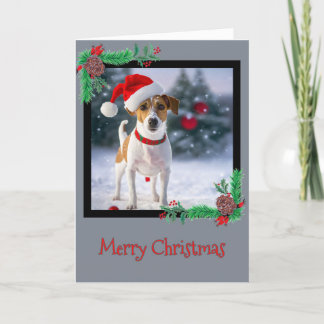 Merry Christmas Jack Russell Terrier Greeting Card