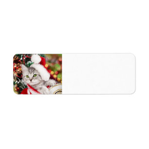 Merry Christmas Kitten Label