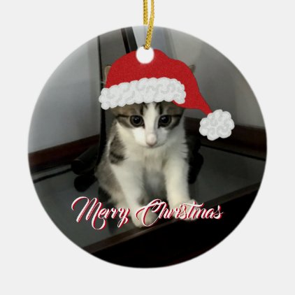 Merry Christmas Kitten Ornament