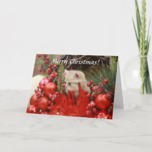 Merry Christmas Kitty Personalize Your Greeting Ho Holiday Card
