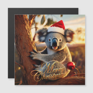 Merry Christmas Koala sitting in Gumtree