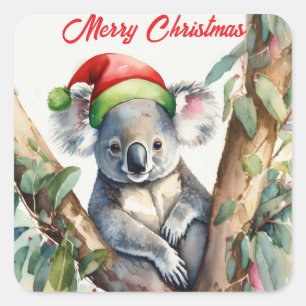 Merry Christmas Koala sitting in Gumtree Square Sticker