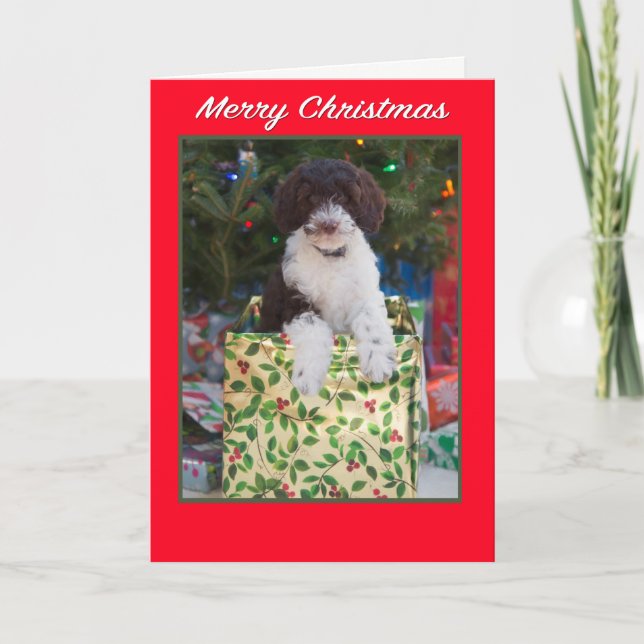 Merry Christmas Labradoodle Puppy Card (Front)
