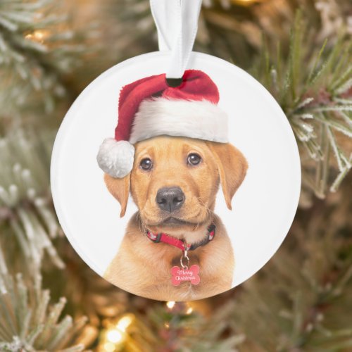 Merry Christmas Labrador Puppy in Santa Hat Ornament