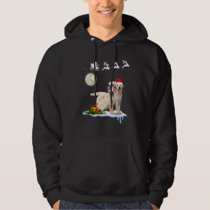 Merry Christmas Labrador Retriever Dog Hoodie