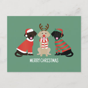 Merry Christmas Labrador Retriever Dogs Holiday Postcard