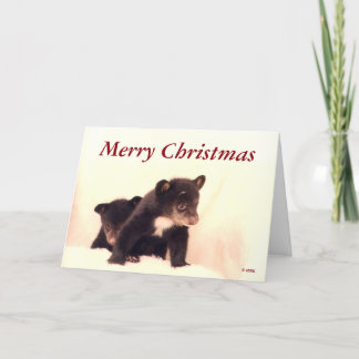 Merry Christmas - Lakota & Paiute Greeting Card