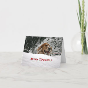 Merry Christmas -Let it Snow Holiday Card