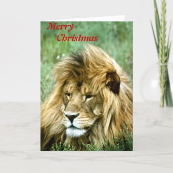 Merry Christmas Lion Holiday Card by Artnmore at Zazzle