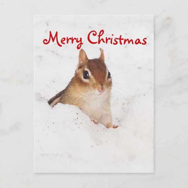 Merry Christmas Little Snowy Chipmunk Postcard (Front)