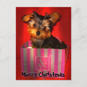 Merry Christmas Little Yorkie Customizable Holiday Postcard