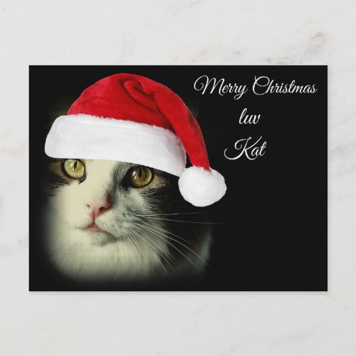 Merry Christmas Luv Kat Holiday Postcard