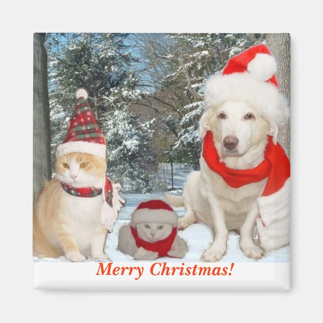 Merry Christmas! Magnet (Front)
