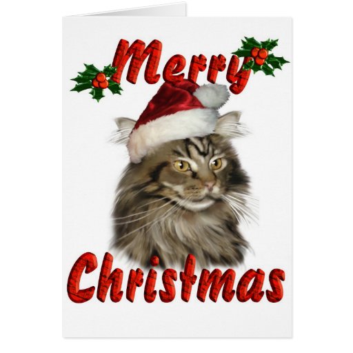 Merry Christmas Maine Coon Cat Card | Zazzle