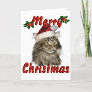 Merry Christmas Maine Coon Cat Holiday Card