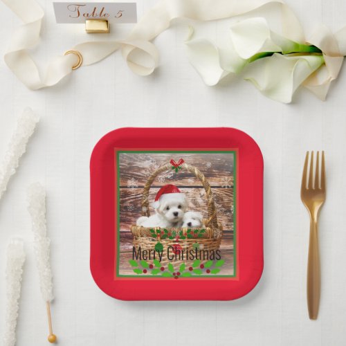 Merry Christmas Maltese Puppies holiday colors Paper Plates