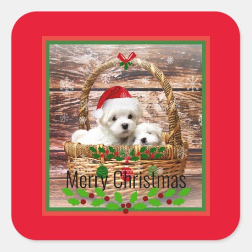 Merry Christmas Maltese Puppies holiday colors Square Sticker