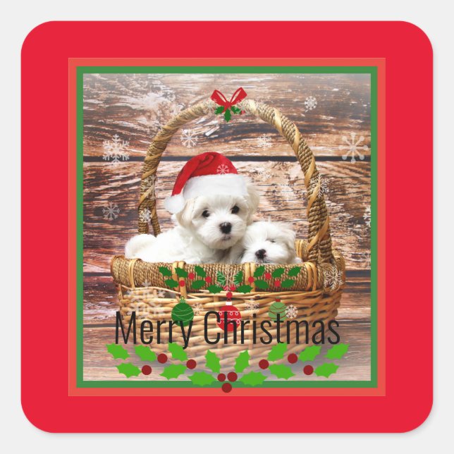 Merry Christmas, Maltese Puppies, holiday colors Square Sticker (Front)