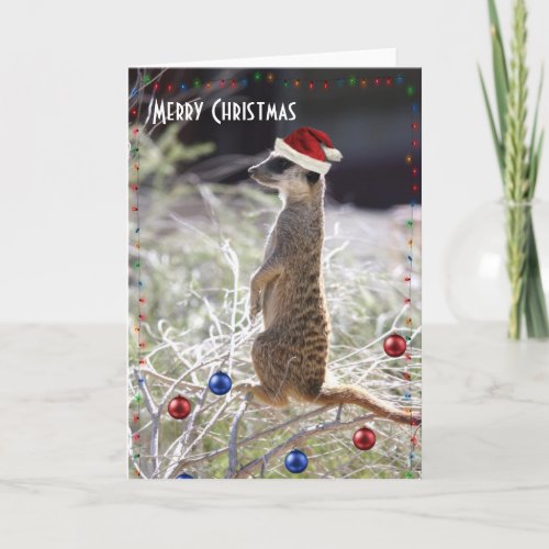 Merry Christmas Meerkat Holiday Card