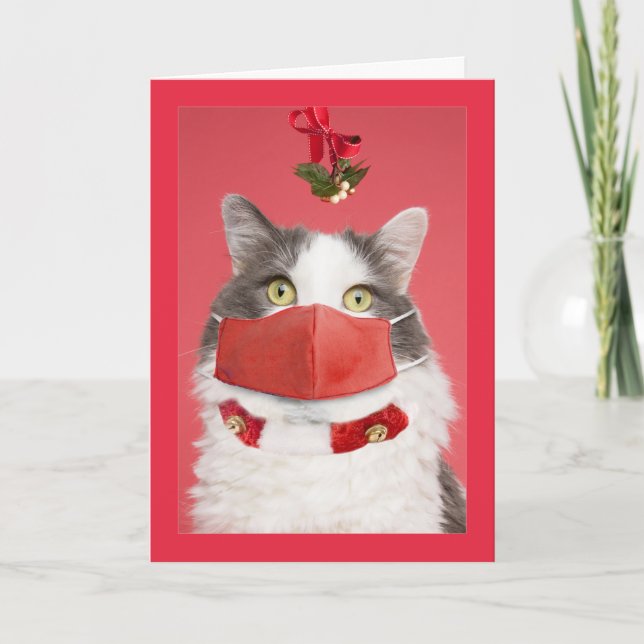 Merry Christmas Mistletoe Cat in Face Mask Humor Holiday Card (Front)