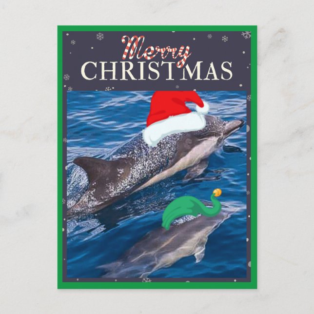 Merry Christmas Mom and Baby Dolphin postcard (Front)
