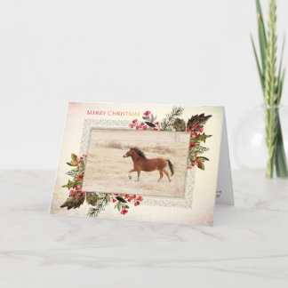 Merry Christmas Mustang Holiday Card