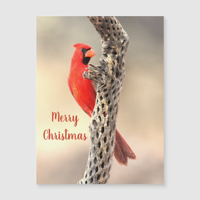Merry Christmas Northern Cardinal Magnet (Front)
