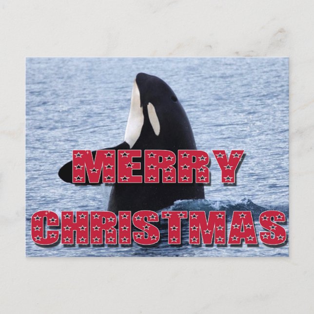 Merry Christmas Orca Whale Spy Hop Holiday Gifts (Front)