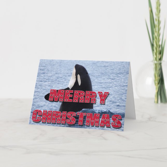 Merry Christmas Orca Whale Spy Hop Holiday Gifts (Front)